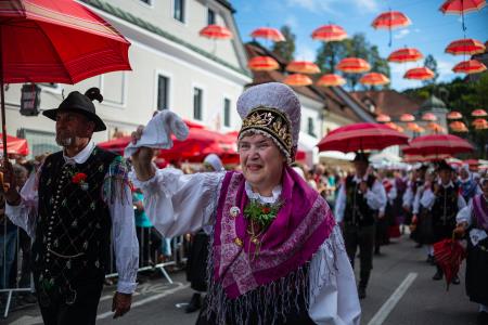 Izjemen obisk zaznamoval 50. Dneve narodnih noš in oblačilne dediščine v Kamniku (Blaž T. Muc)  (91)